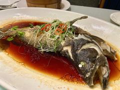 清蒸老虎斑-南景饭店(万家丽路店)