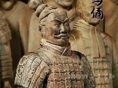-秦始皇帝陵博物院(兵马俑)