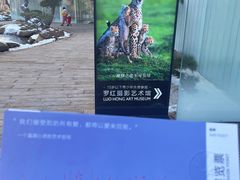 -罗红摄影艺术馆