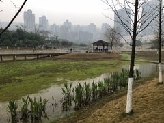 -沐仙湖湿地公园