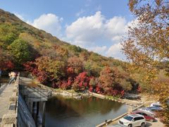 -龙道沟景区