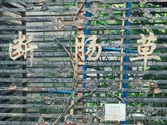 -广州神农草堂中医药博物馆