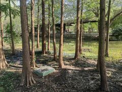 -溱湖国家湿地公园