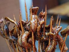 -晓靖轩烧烤(沙河风情店)