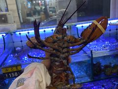 -日照大牌檔•小船海鲜(万平口店)