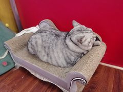 -H立方实景剧情密室(天河旗舰店)