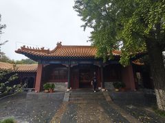 -戏马台景区