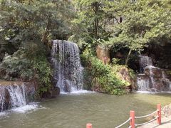 -广州市帽峰山景区