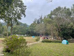 -南宁良凤江国家森林公园