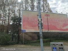 -鹦鹉洲湿地公园