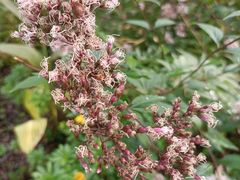 -西湖风景区-江洋畈生态公园