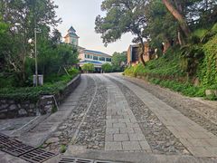 -紫金山山顶公园