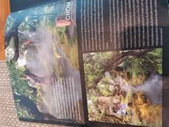 -Chom Cafe and Restaurant