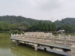 -顺峰山公园