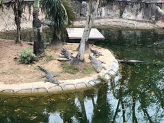 -深圳野生动物园