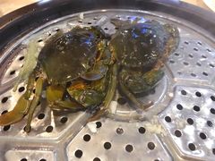 -海大大蒸汽海鲜餐厅·粤菜·特色小炒(欢乐颂店)