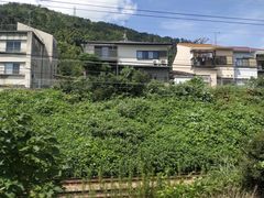 -奈良公园