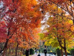 -长春市南湖公园