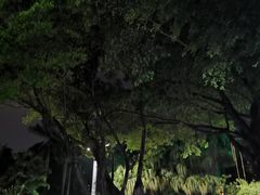 -金砂公园