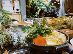 -森味薪火烧•烧鸟居酒屋•日本料理(望京店)