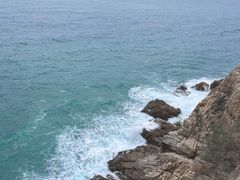 -广东惠东海龟国家级自然保护区