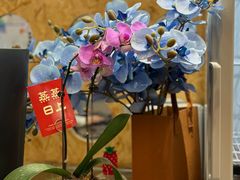 -静宜和她的朋友(星海广场店)