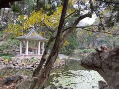 -叶家花园