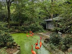 -杭州动物园