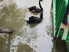 -长兴太湖图影湿地文化园