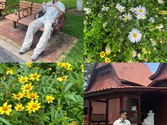 -东莞植物园