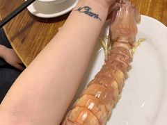 -凯华海鲜火锅·传承三十六年