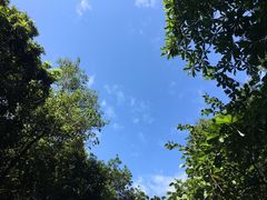 -广州市白云山风景名胜区
