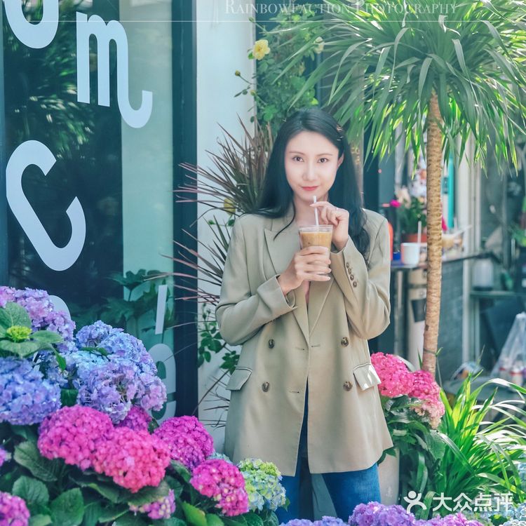 探店|在胡同绣球花盛开的小院听一曲周杰伦