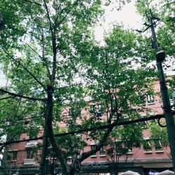 -杉惠素颜美妆皮肤管理中心