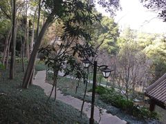 -乌山风景区