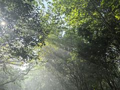 -盐城丹顶鹤湿地生态旅游区