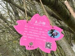 -凤凰沟景区