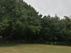 -南宁南湖公园