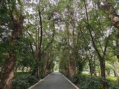 -南宁南湖公园