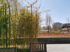 -北京艺术博物馆(万寿寺)