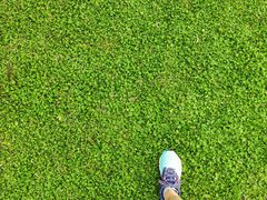 -陶祖圣境风景区