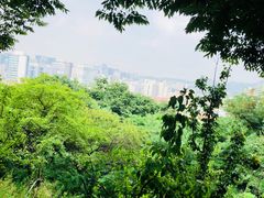 -弘益酱蟹