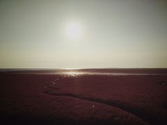 -红海滩国家风景廊道