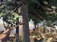 -陕西自然博物馆