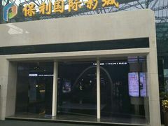 -保利国际影城(保利文化广场店)