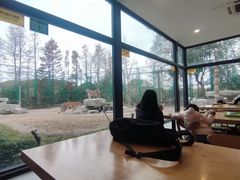 靠窗位-上海野生动物园老虎餐厅