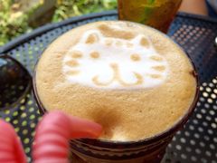 iphone_upload_pic-海边的猫和咖啡馆