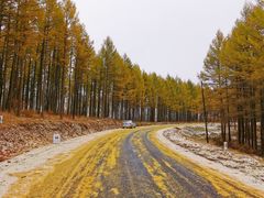 -塞罕坝国家级自然保护区