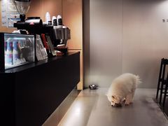 -研途咖啡馆(健康路店)