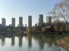 -青枫公园